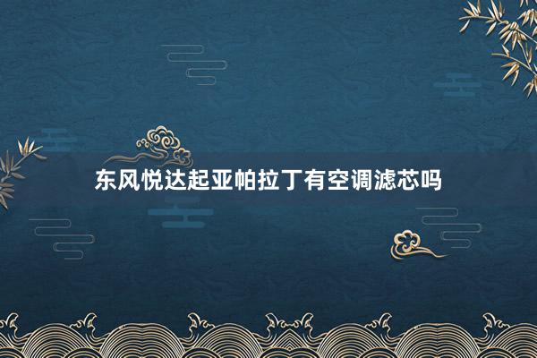 东风悦达起亚帕拉丁有空调滤芯吗