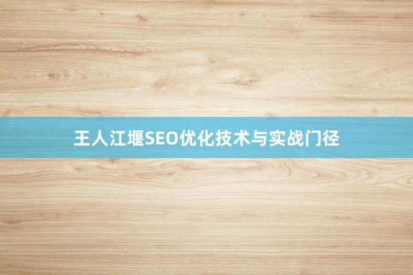 王人江堰SEO优化技术与实战门径